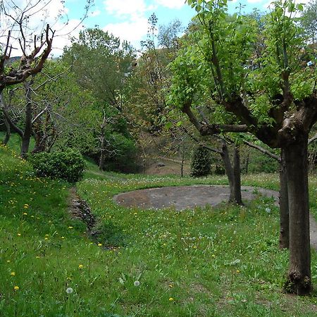 Can Salgueda Santa Pau Pokój zdjęcie
