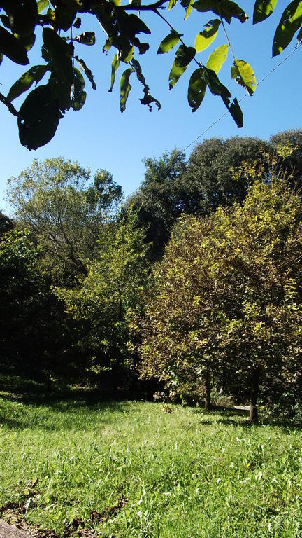 Can Salgueda Santa Pau Pokój zdjęcie