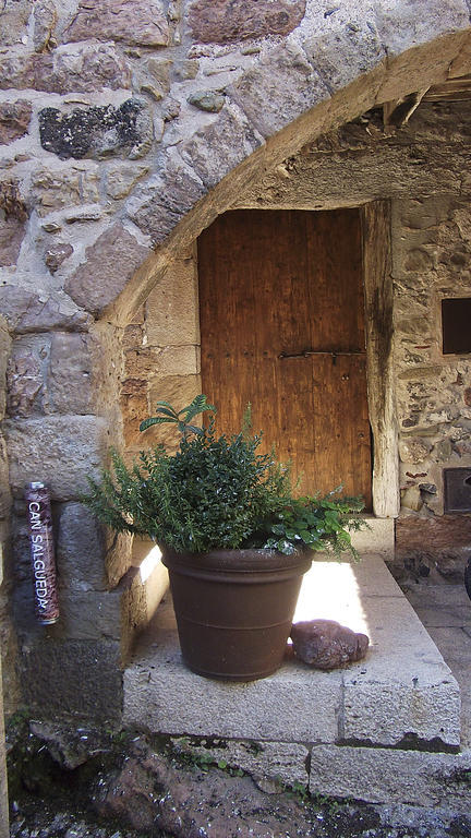 Can Salgueda Santa Pau Pokój zdjęcie